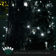 50 5mm Cool White SoftTwinkle LED Christmas Lights, Green Wire, 4" Spacing