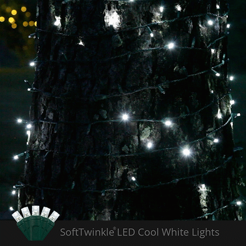 50 5mm Cool White SoftTwinkle LED Christmas Lights, Green Wire, 4" Spacing