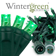 50 5mm Green WeatherPRO TM Commercial LED Lights, Green Wire, 4" Spacing