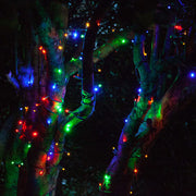 5mm Multi Color SoftTwinkle LED Christmas Lights, Green Wire