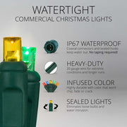 50 5mm Multi Color WeatherPRO TM Commercial LED Lights, Green Wire, 4" Spacing