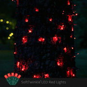 50 5mm Red SoftTwinkle LED Christmas Lights, Green Wire, 4" Spacing