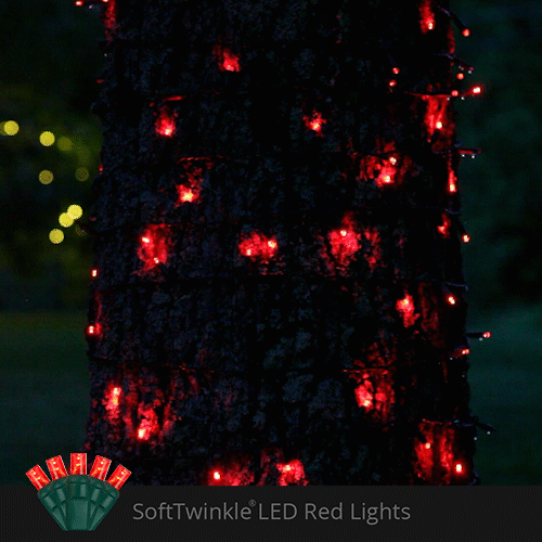 50 5mm Red SoftTwinkle LED Christmas Lights, Green Wire, 4" Spacing
