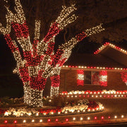 50 5mm Red WeatherPRO TM Commercial LED Lights, Green Wire, 4" Spacing