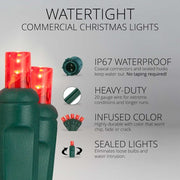 50 5mm Red WeatherPRO TM Commercial LED Lights, Green Wire, 4" Spacing