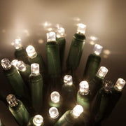 5mm Warm White SoftTwinkle LED Christmas Lights, Green Wire