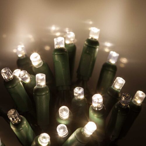 5mm Warm White SoftTwinkle LED Christmas Lights, Green Wire