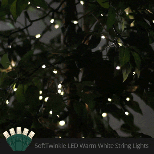 5mm Warm White SoftTwinkle LED Christmas Lights, Green Wire