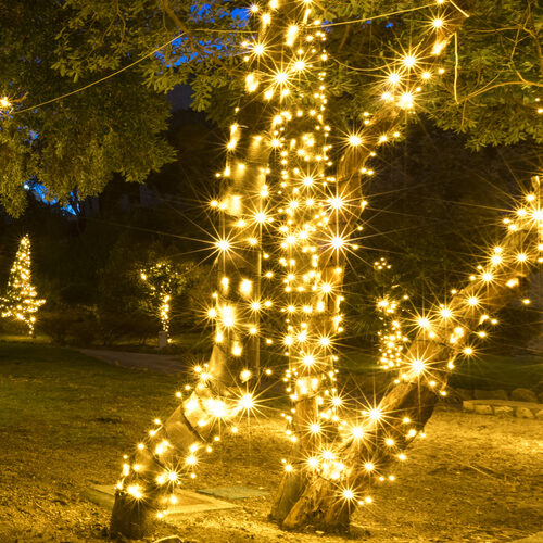 5mm Warm White WeatherPRO TM Commercial LED Lights, Green Wire