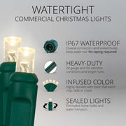 50 5mm Warm White WeatherPro TM Water-Tight Commercial LED Lights, Green Wire, 4" Spacing, Contractor Pack