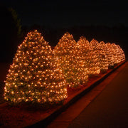 50 Amber / Orange Mini Lights, Green Wire, 6" Spacing