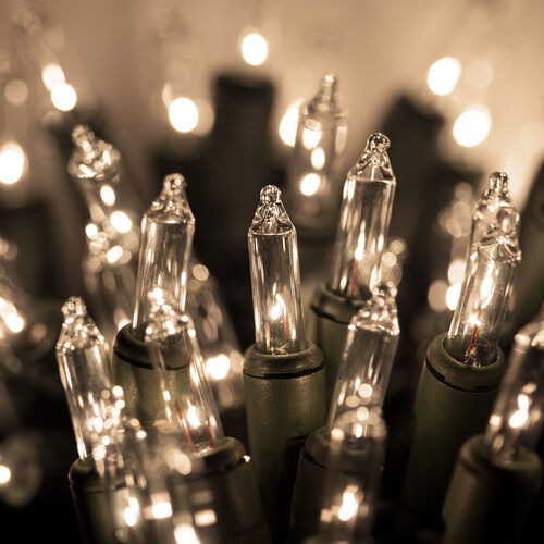50 Clear Mini Lights, Green Wire, 2.5" Spacing