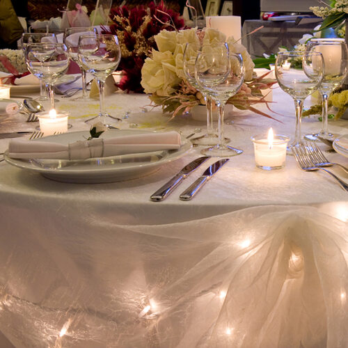 50 Clear Mini Lights, White Wire, 2.5" Spacing