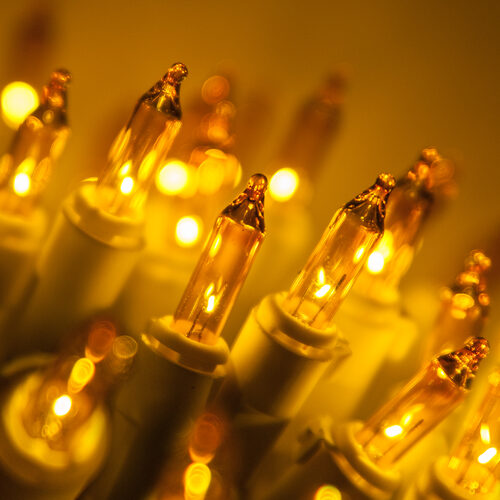 50 Gold Mini Lights, Green Wire, 6" Spacing