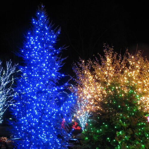 Kringle Traditions 5mm Blue LED Christmas Lights, Green Wire, Balled Set