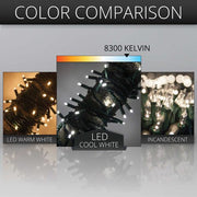 Kringle Traditions 5mm Cool White LED Christmas Lights, Green Wire