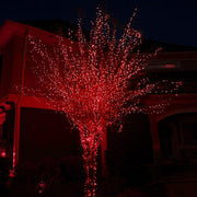 Kringle Traditions 5mm Red LED Christmas Lights, Green Wire