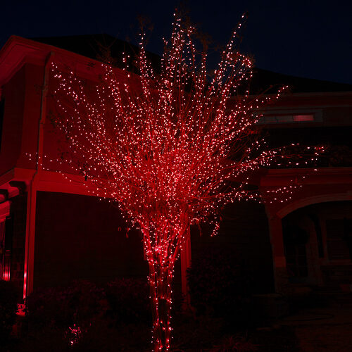 Kringle Traditions 5mm Red LED Christmas Lights, Green Wire