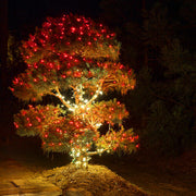 Kringle Traditions 5mm Red LED Christmas Lights, Green Wire