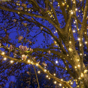 50 Kringle Traditions 5mm Warm White LED Christmas Lights, Green Wire, 4" Spacing, Contractor Pack