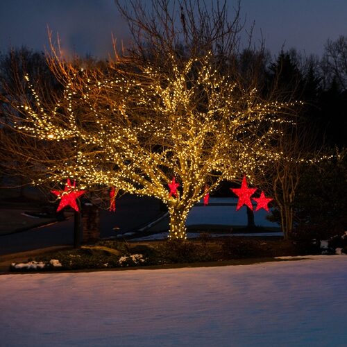 50 Kringle Traditions 5mm Warm White LED Christmas Lights, Green Wire, 4" Spacing, Contractor Pack