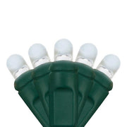 Lux360 TM D5 TM Cool White LED Christmas Lights, Green Wire