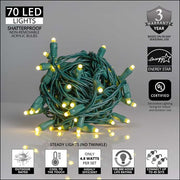 Lux360 TM D5 TM Warm White LED Christmas Lights, Green Wire