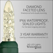 50 M5 Warm White LED Lights, Green Wire, 4" Spacing