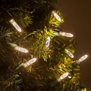 50 M5 Warm White LED Lights, Green Wire, 4" Spacing
