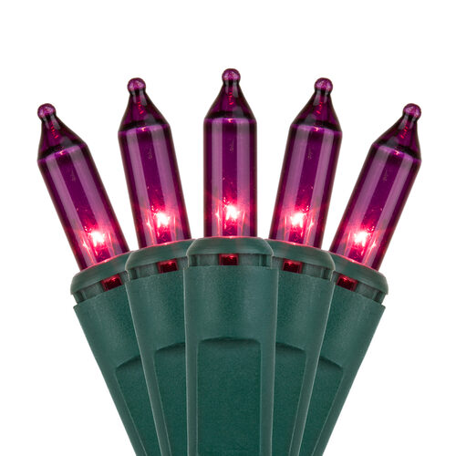 50 Purple Mini Lights, Green Wire, 6" Spacing
