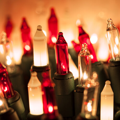 50 Red, Clear, White Frost Mini Lights, Green Wire, 6" Spacing