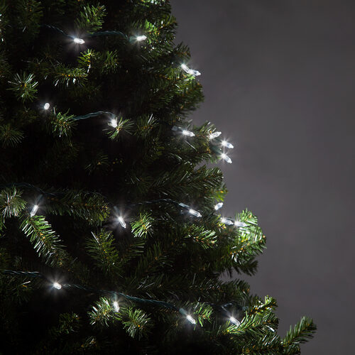 T5 Cool White LED Christmas Tree Lights, Green Wire
