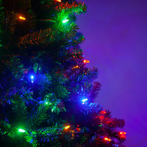50 T5 Multi Color LED Christmas Tree Lights, Green Wire, 6" Spacing