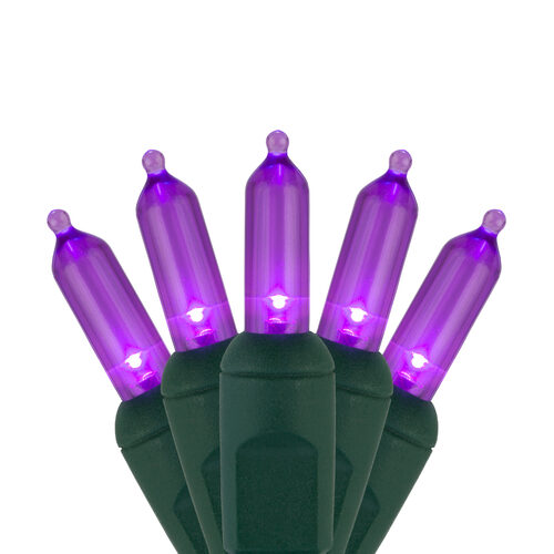 50 T5 Purple LED Christmas Tree Lights, Green Wire, 6" Spacing