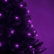 50 T5 Purple LED Christmas Tree Lights, Green Wire, 6" Spacing