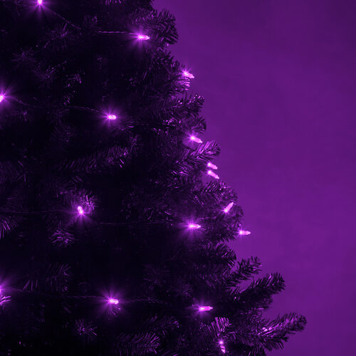 50 T5 Purple LED Christmas Tree Lights, Green Wire, 6" Spacing