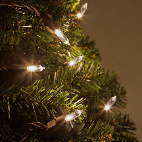 50 T5 Warm White LED Christmas Tree Lights, Brown Wire, 6" Spacing