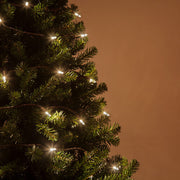 50 T5 Warm White LED Christmas Tree Lights, Brown Wire, 6" Spacing