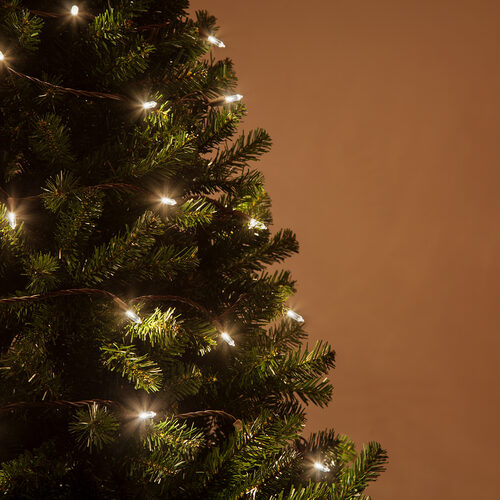 50 T5 Warm White LED Christmas Tree Lights, Brown Wire, 6" Spacing