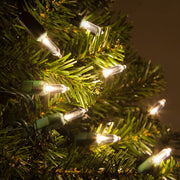 T5 Warm White LED Christmas Tree Lights, Green Wire