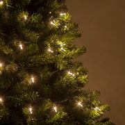 T5 Warm White LED Christmas Tree Lights, Green Wire