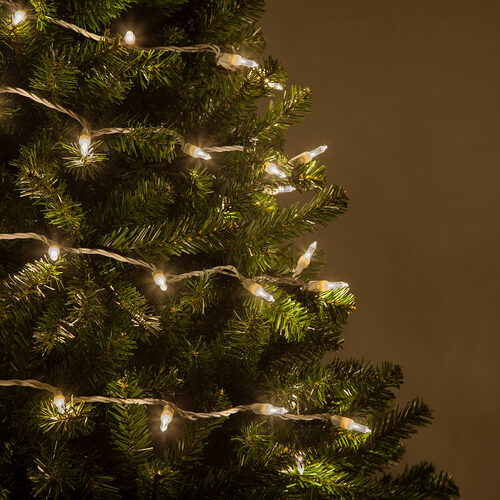 T5 Warm White LED Christmas Tree Lights, White Wire