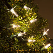 50 T5 Warm White Twinkle LED Christmas Tree Lights, Green Wire, 6" Spacing