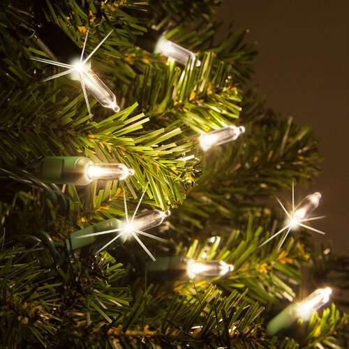 50 T5 Warm White Twinkle LED Christmas Tree Lights, Green Wire, 6" Spacing
