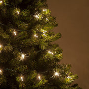 50 T5 Warm White Twinkle LED Christmas Tree Lights, Green Wire, 6" Spacing