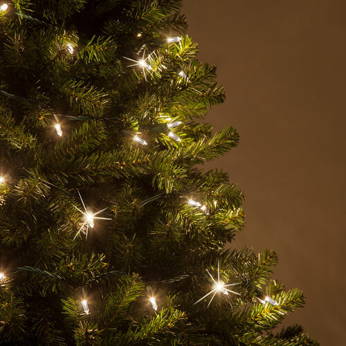 50 T5 Warm White Twinkle LED Christmas Tree Lights, Green Wire, 6" Spacing
