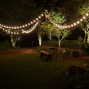 Warm White FlexFilament TM Shatterproof LED Patio String Light Set with G50 Bulbs on Black Wire, E12 Base
