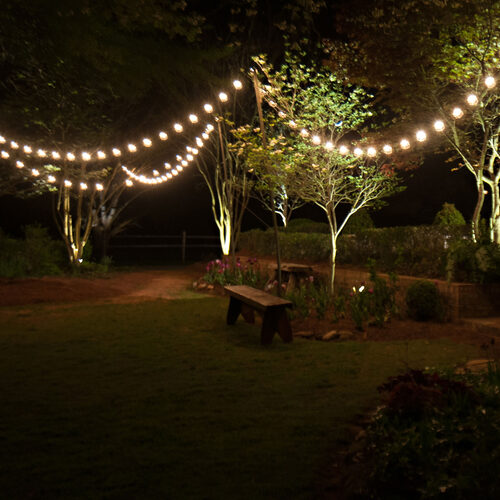 Warm White FlexFilament TM Shatterproof LED Patio String Light Set with G50 Bulbs on Black Wire, E12 Base
