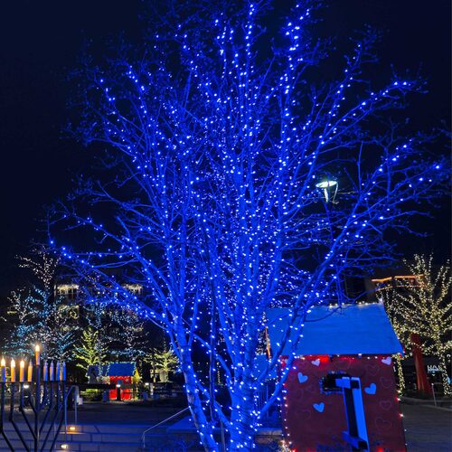 5mm Blue LED Christmas Lights, Green Wire