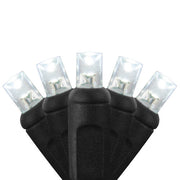 70 5mm Cool White LED Christmas Lights, Black Wire, 4" Spacing
